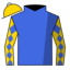 Grand Yaupon
