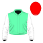 Carrigeen Ardisia