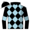 Starlit Destiny