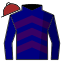 Hansen Bracing