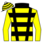 Pulmodon