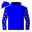 Bay Cavallo