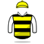 Ask A Honey Bee