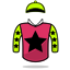 Knight's Choice